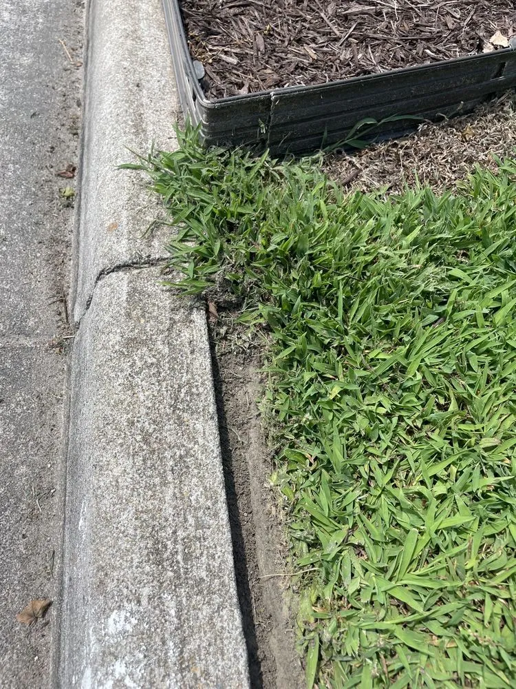 Expert yard cleanup service in Virginia Beach, VA - Extra Mile Lawn Care