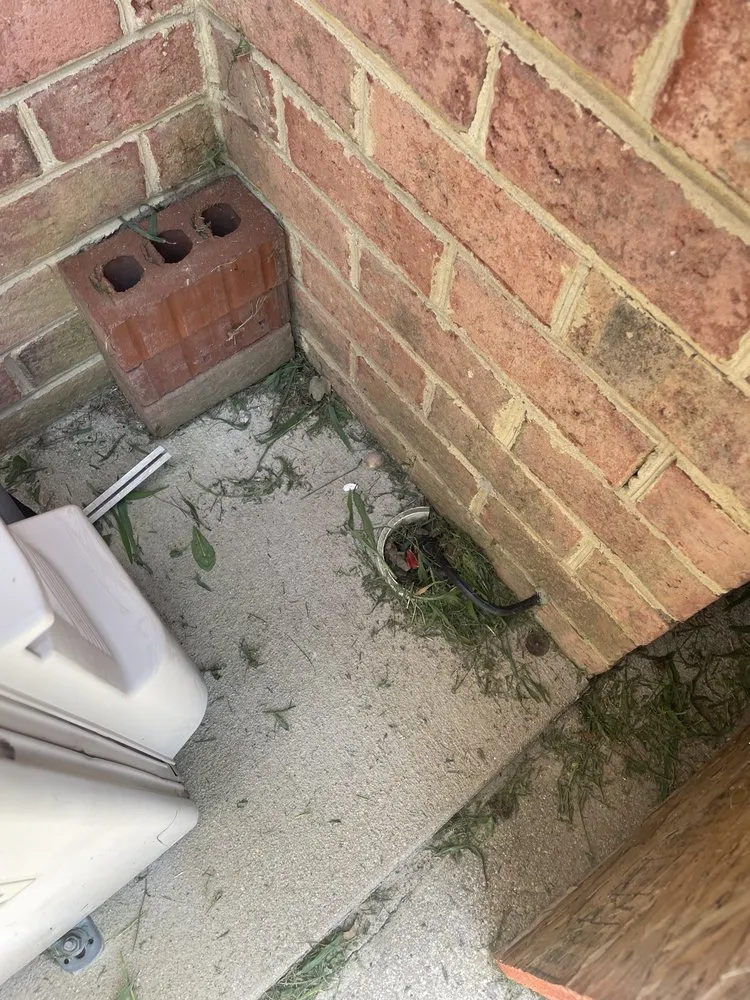 Trusted landscaping services for beautiful yards in Virginia Beach, VA by Extra Mile Lawn Care