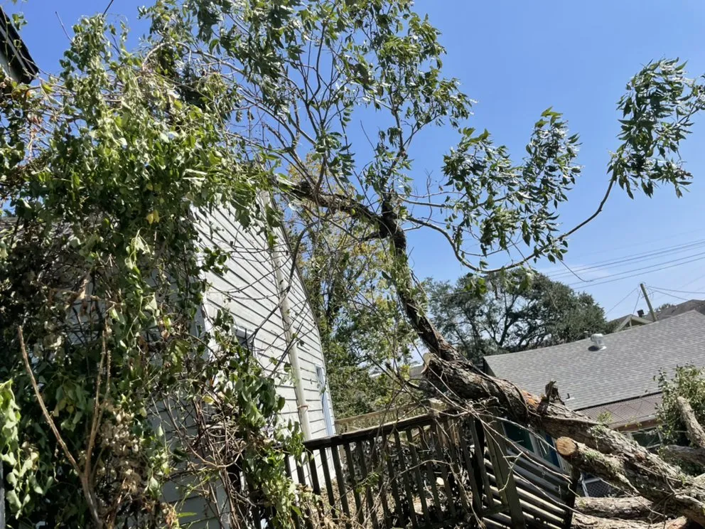 Trusted landscape design in New Orleans, LA by Extra Ordinary