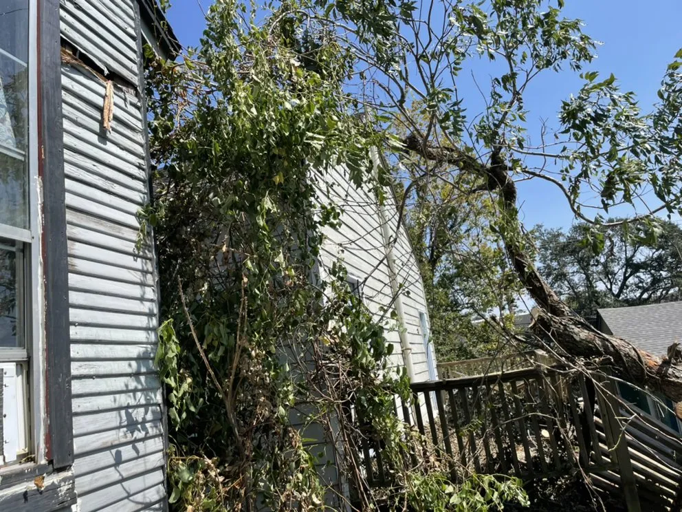 Affordable lawn mowing service in New Orleans, LA by Extra Ordinary