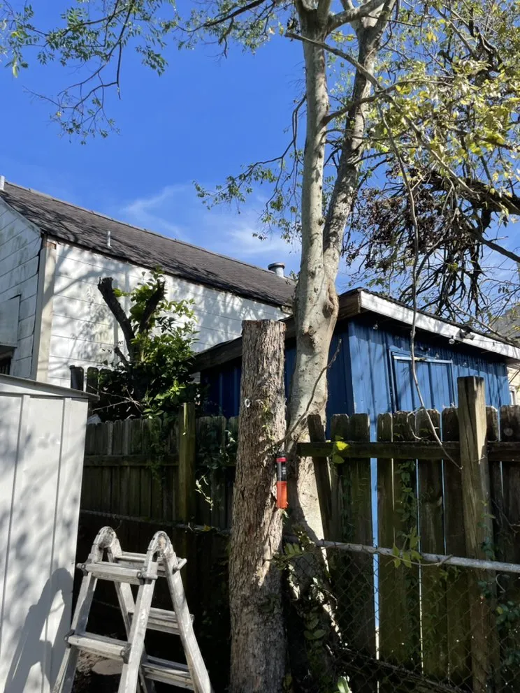 Local landscape design experts serving New Orleans, LA - Extra Ordinary