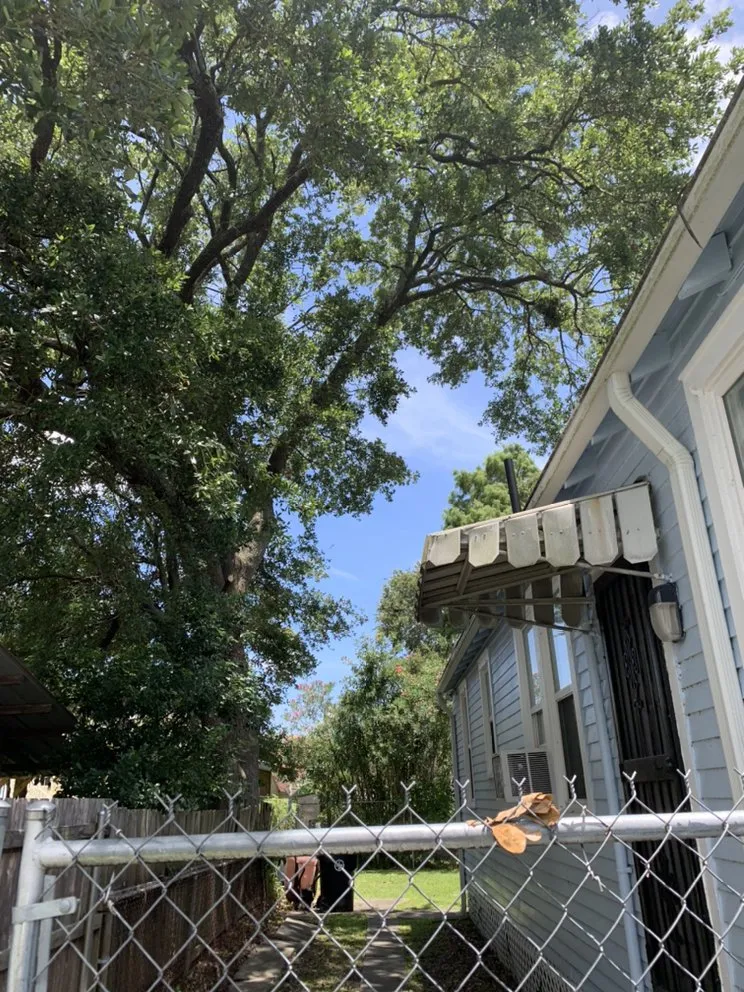 Reliable landscaping services for residential properties across New Orleans, LA - Extra Ordinary