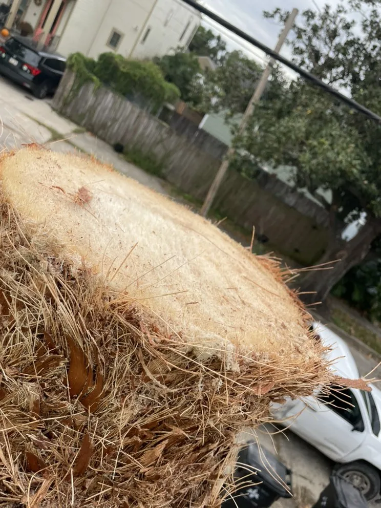 Professional residential landscaping in New Orleans, LA - Extra Ordinary