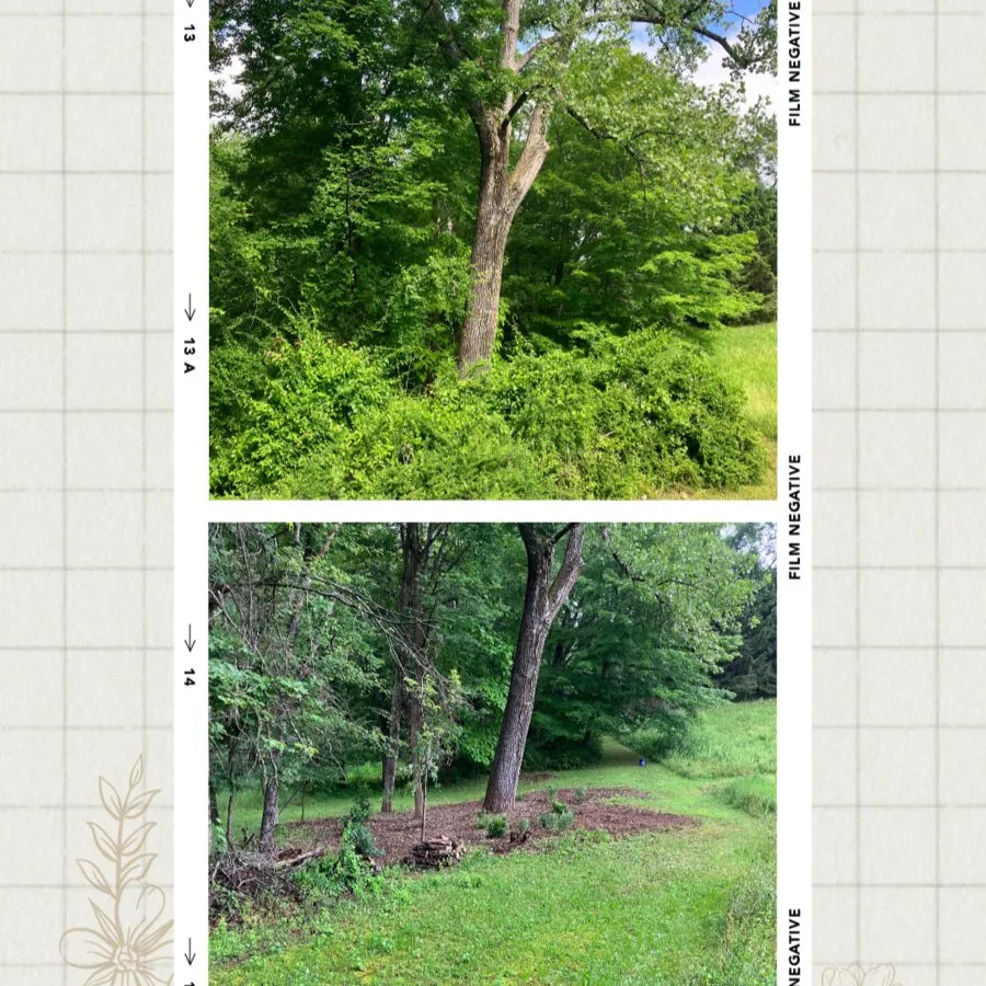 Custom yard cleanup service for outdoor upgrades in Gardiner, NY by Extra Services