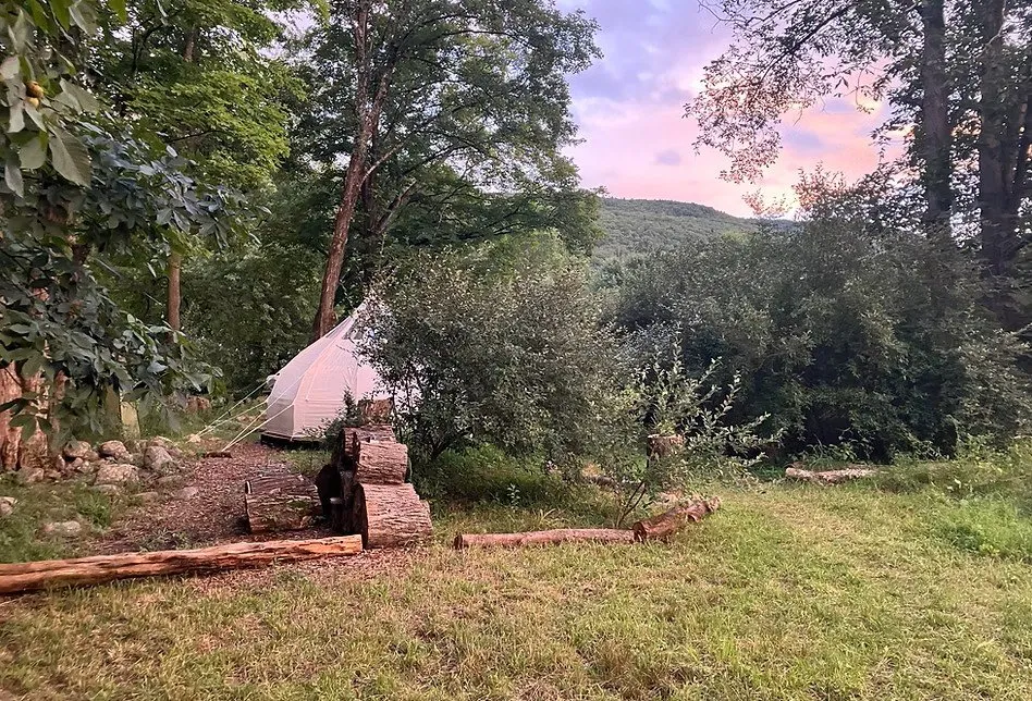 Expert yard cleanup service experts serving Gardiner, NY - Extra Services