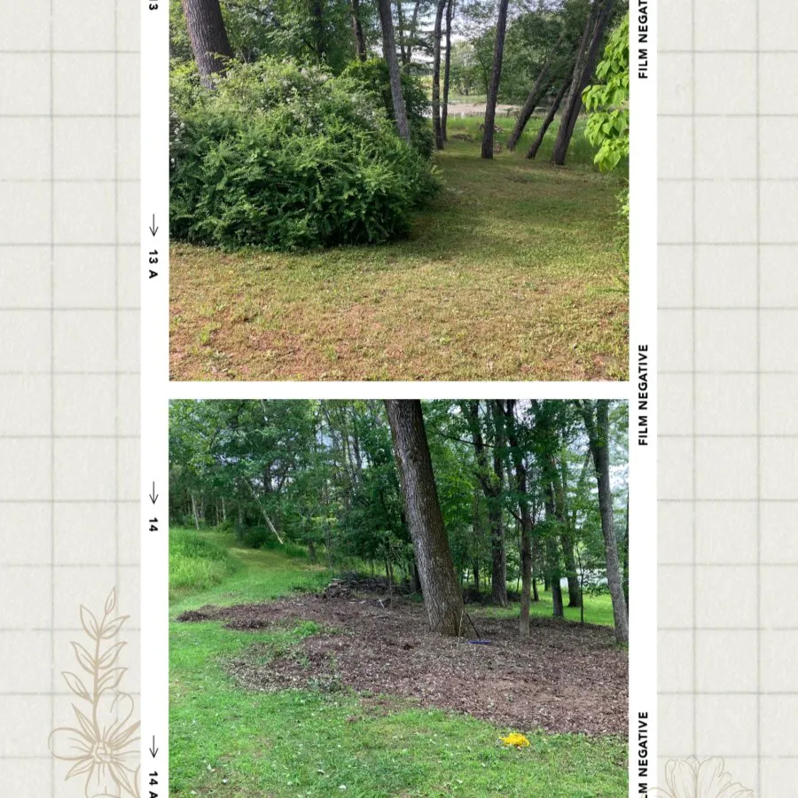 Reliable lawn care service experts serving Gardiner, NY - Extra Services