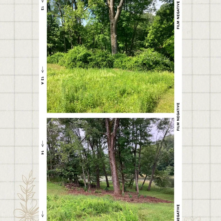 Professional landscaping services for year-round maintenance across Gardiner, NY - Extra Services