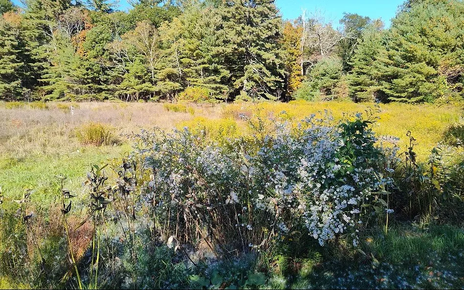 Top-rated outdoor landscaping for outdoor upgrades across Gardiner, NY - Extra Services