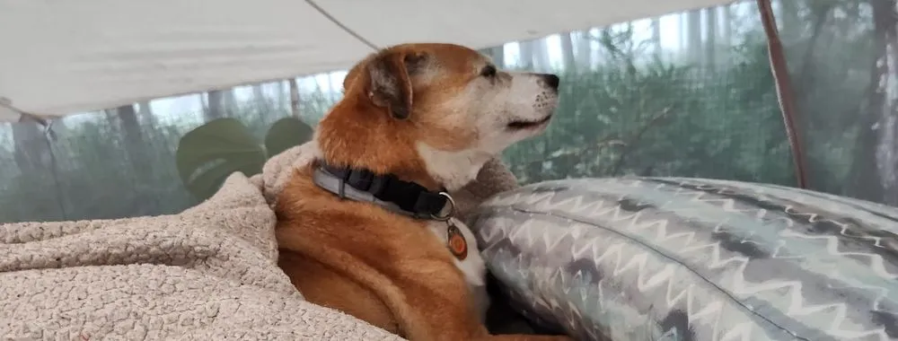 Expert landscape design for residential properties in Gardiner, NY by Extra Services