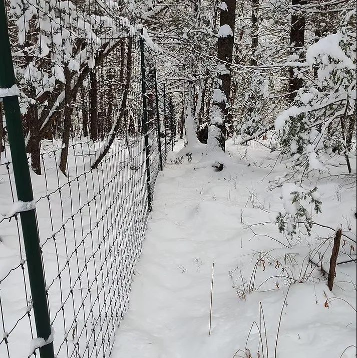 Local outdoor landscaping for homes across Gardiner, NY - Extra Services