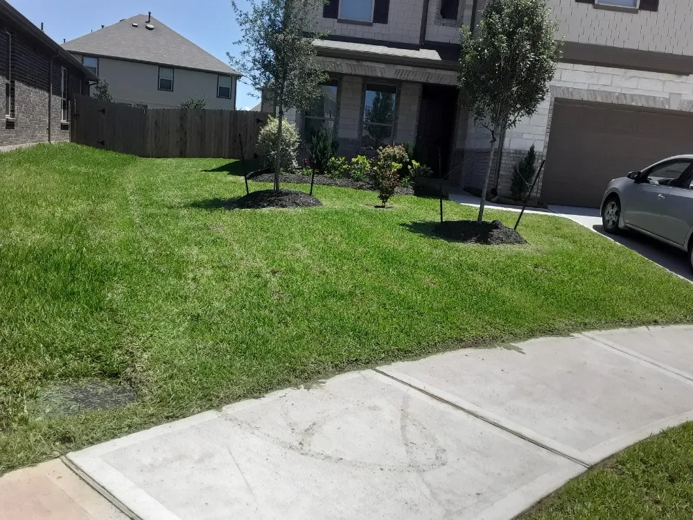 Local yard cleanup service experts serving Houston, TX - Extrahand Landscaping Gardening and more