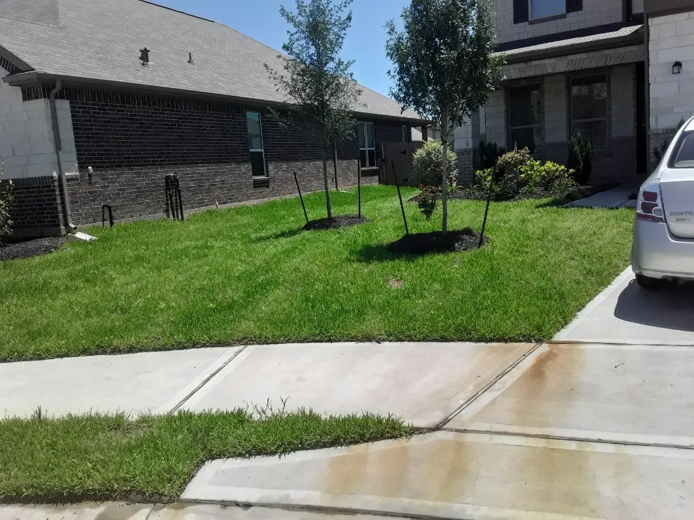 Custom landscape design in Houston, TX - Extrahand Landscaping Gardening and more
