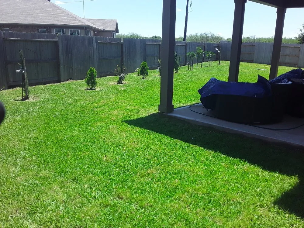 Trusted lawn care service for beautiful yards in Houston, TX by Extrahand Landscaping Gardening and more