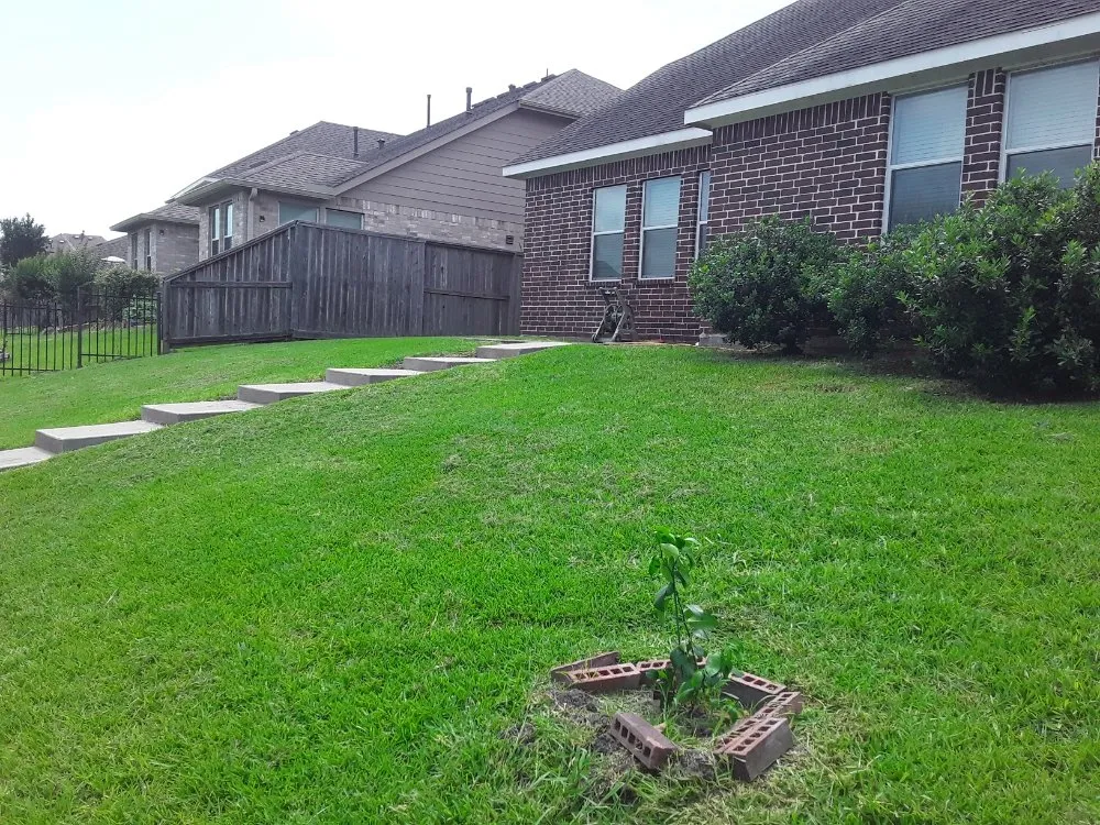 Professional landscape design for beautiful yards in Houston, TX by Extrahand Landscaping Gardening and more