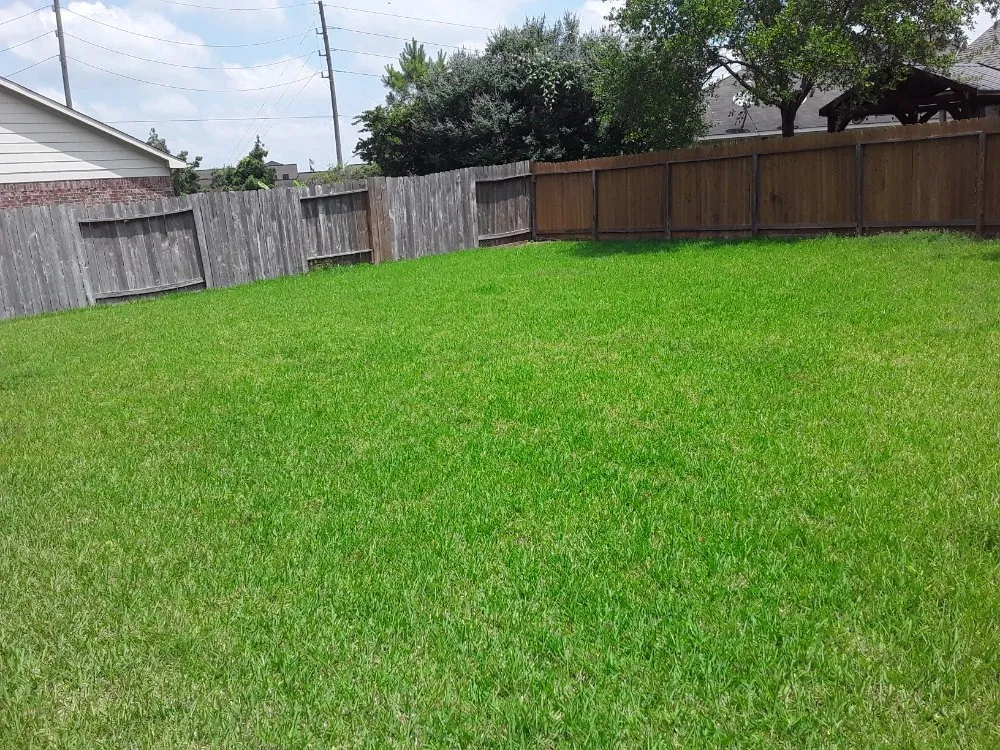 Professional landscape design experts serving Houston, TX - Extrahand Landscaping Gardening and more