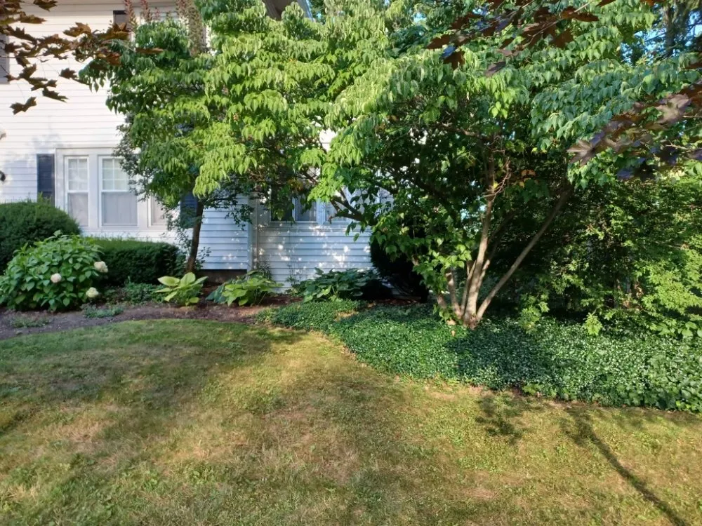 Professional lawn mowing service experts serving Hamburg, NY - Extraordinaire Landscape and Lawn Care