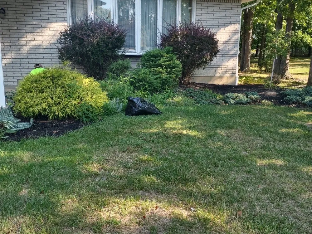 Professional residential landscaping experts serving Hamburg, NY - Extraordinaire Landscape and Lawn Care