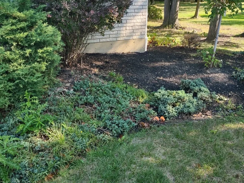 Trusted outdoor landscaping experts serving Hamburg, NY - Extraordinaire Landscape and Lawn Care