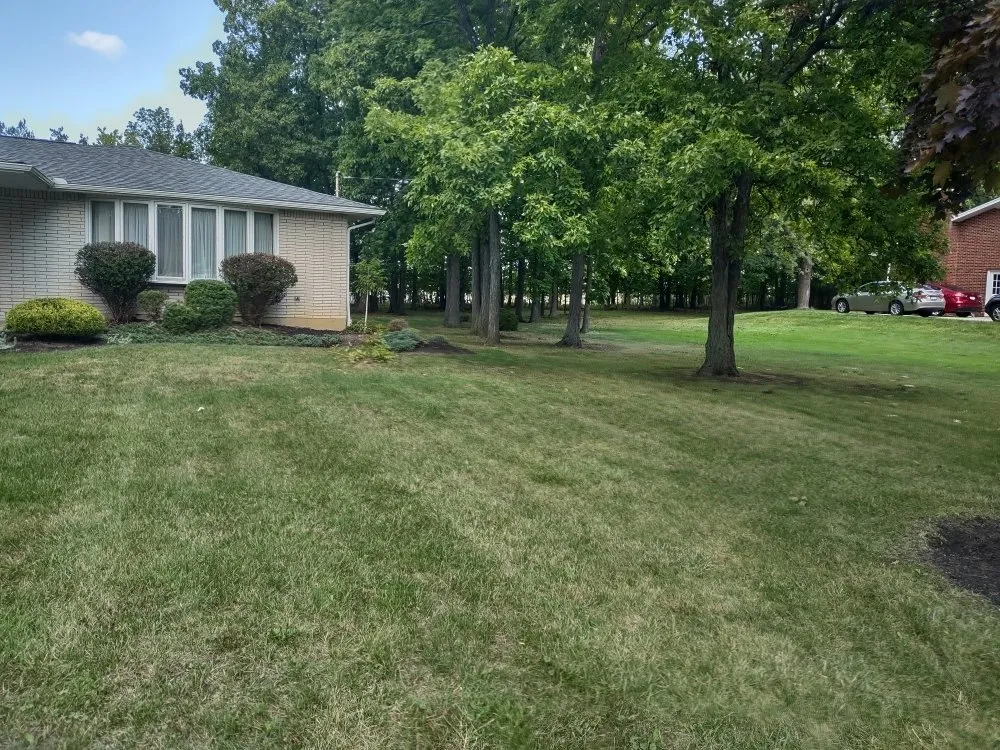 Reliable lawn care service experts serving Hamburg, NY - Extraordinaire Landscape and Lawn Care