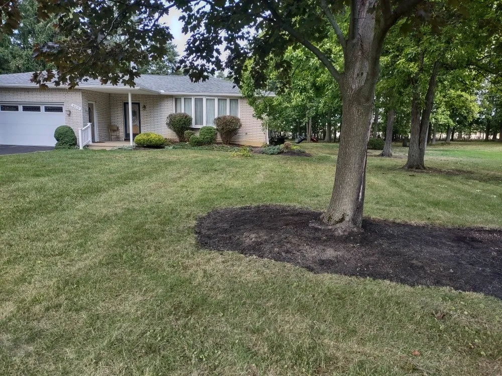 Trusted yard cleanup service in Hamburg, NY - Extraordinaire Landscape and Lawn Care