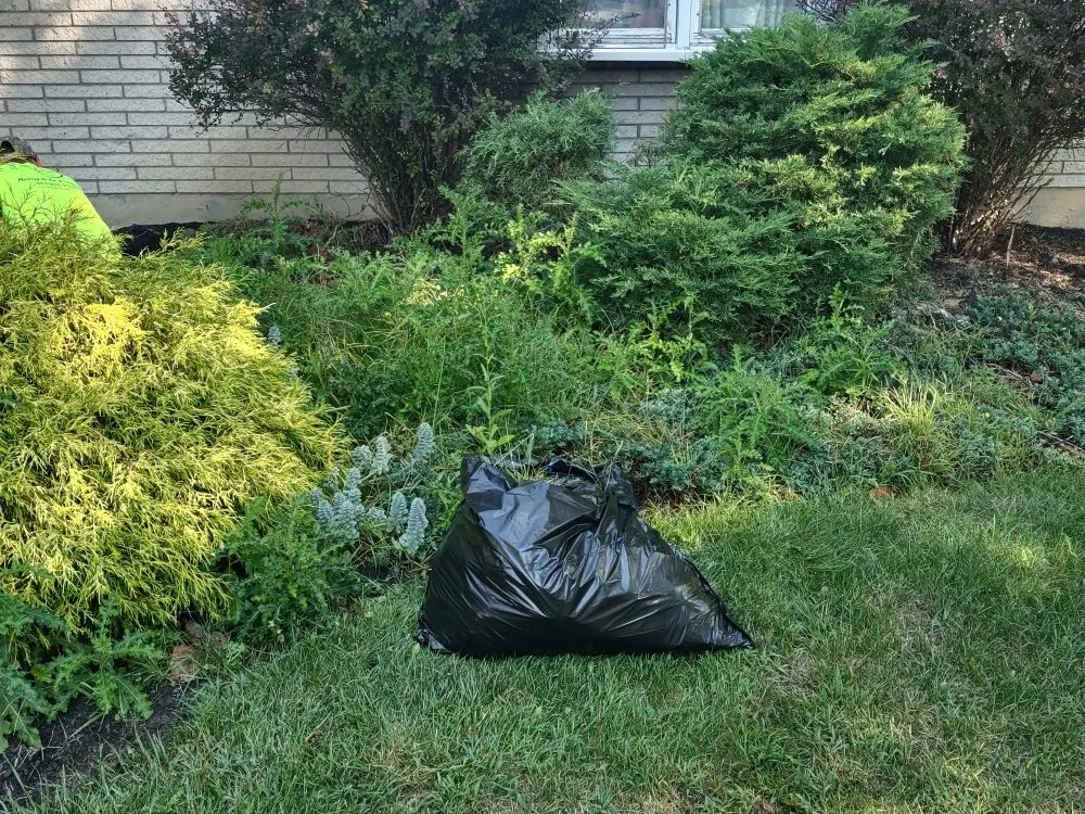 Reliable landscaping services experts serving Hamburg, NY - Extraordinaire Landscape and Lawn Care