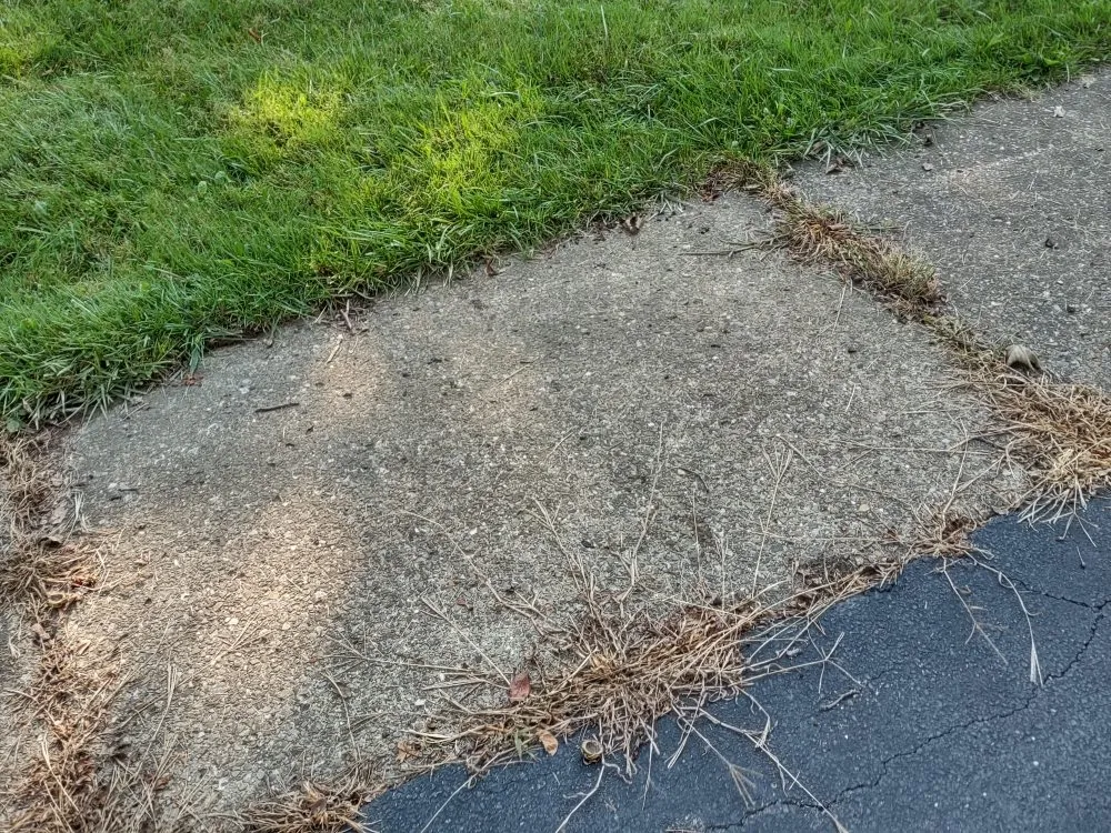 Affordable garden landscaping near you across Hamburg, NY - Extraordinaire Landscape and Lawn Care