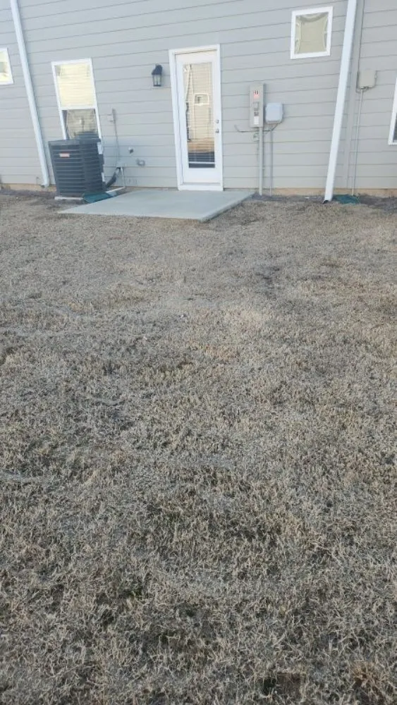 Top-rated garden landscaping in Calhoun, GA - Extravacuts