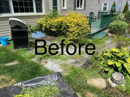 Extravagant Landscaping