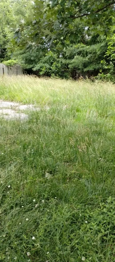 Affordable garden landscaping in Portsmouth, VA - Extravagant Landscaping