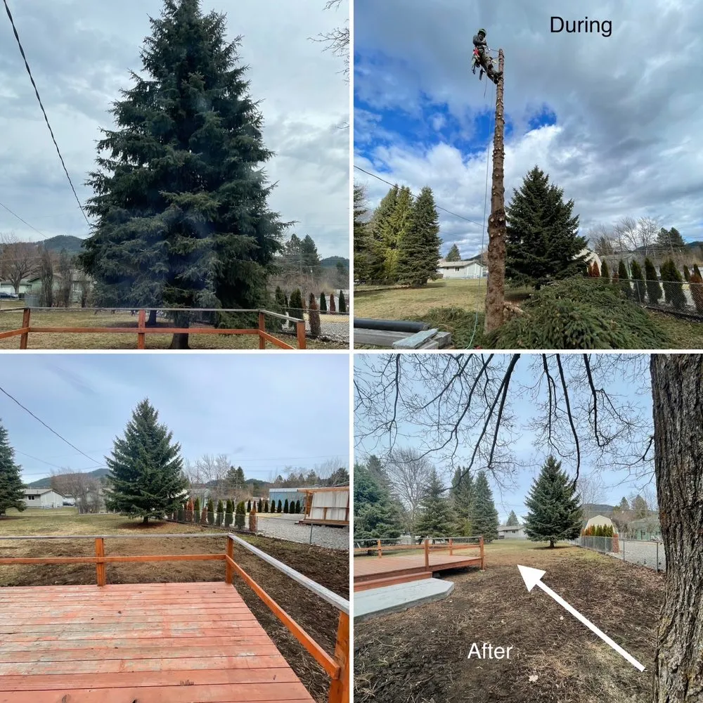 Trusted landscaping services in Athol, ID - Extreeme