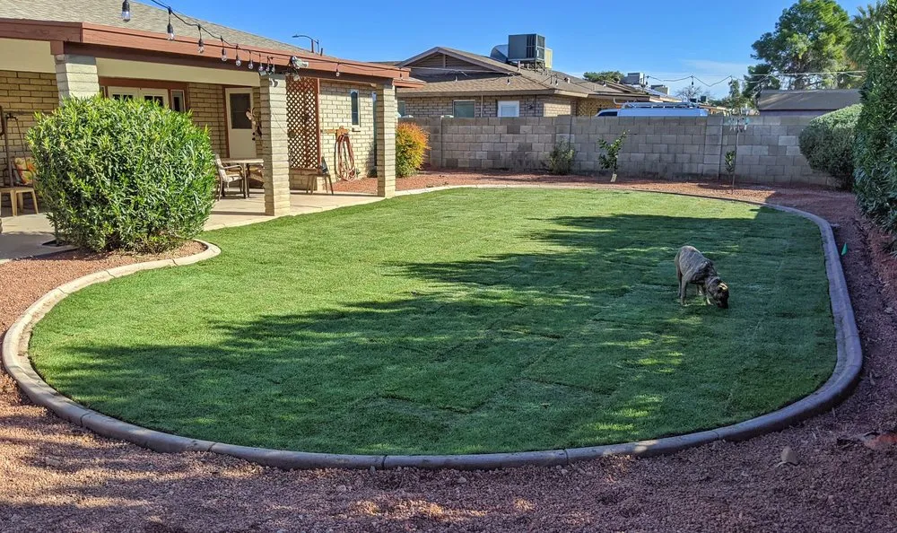 Professional landscape design experts serving Peoria, AZ - Extreme Borders and Curbs
