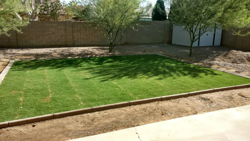 Professional landscape installation in Peoria, AZ - Extreme Borders and Curbs
