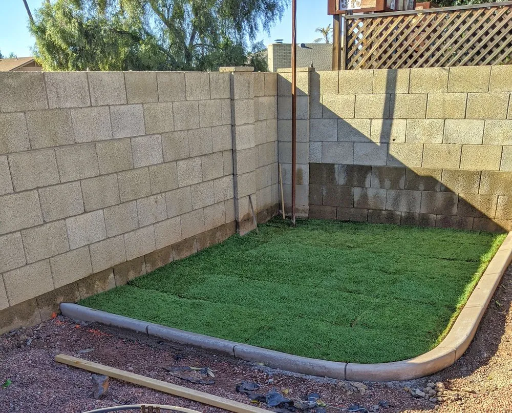 Top-rated outdoor landscaping for beautiful yards across Peoria, AZ - Extreme Borders and Curbs