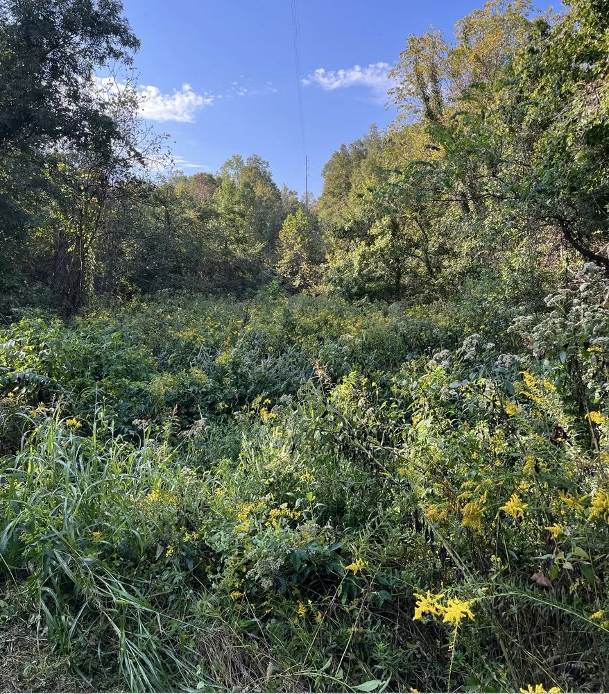 Custom garden landscaping in Batesville, AR - Extreme Bush Hog & Skidsteer Land Clearing