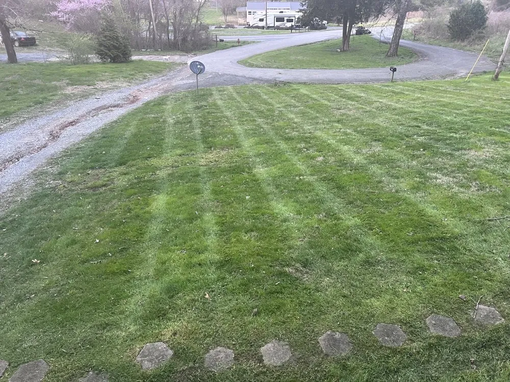Affordable yard cleanup service in Cleveland, TN - Extreme Clean Lawn Care