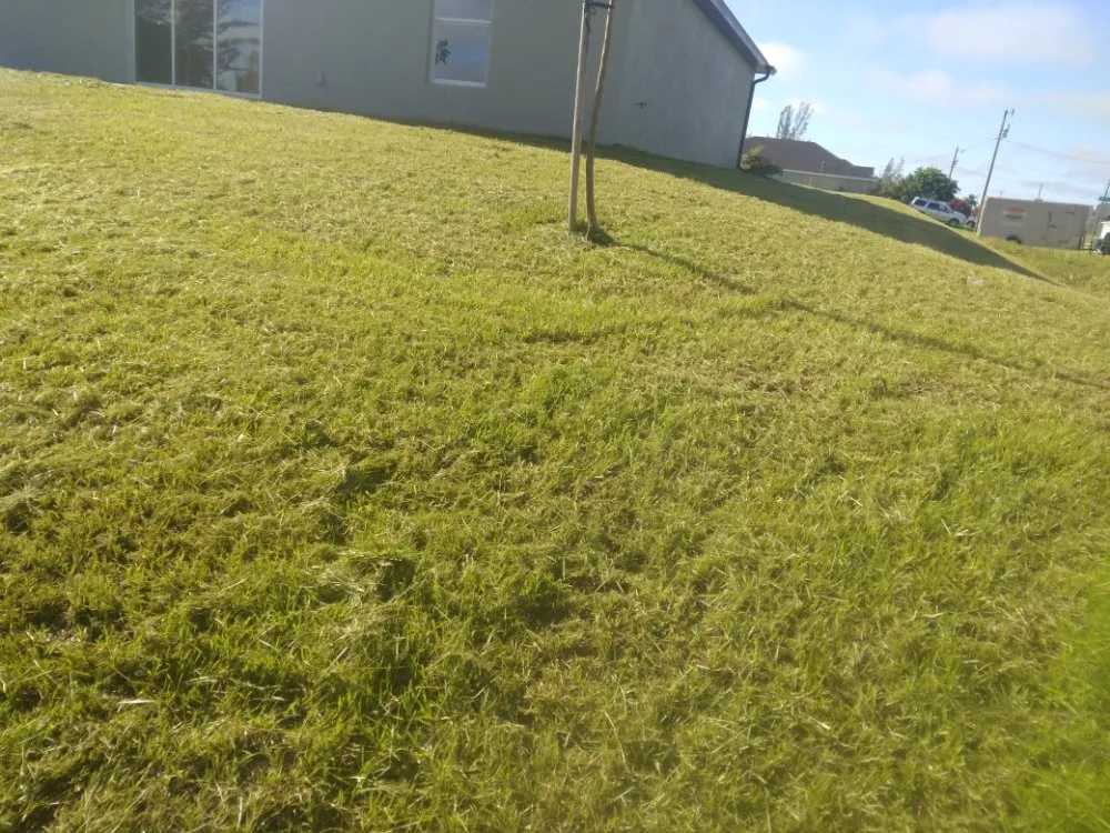 Expert lawn mowing service in Lehigh Acres, FL by Extreme Cleaning & More
