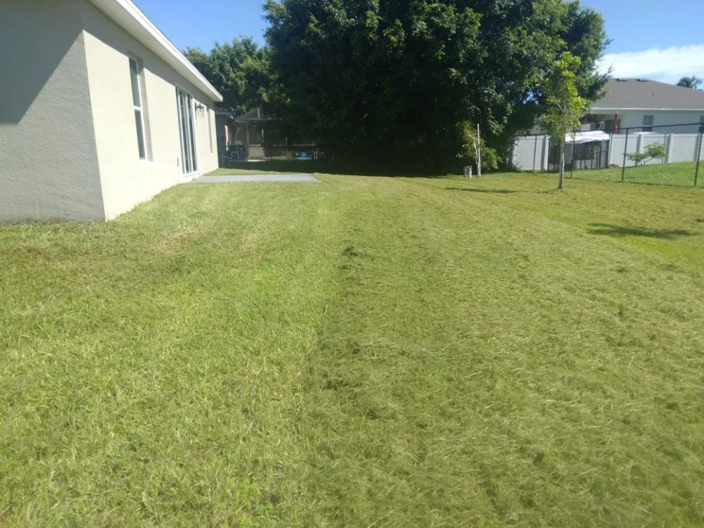 Trusted lawn care service in Lehigh Acres, FL - Extreme Cleaning & More