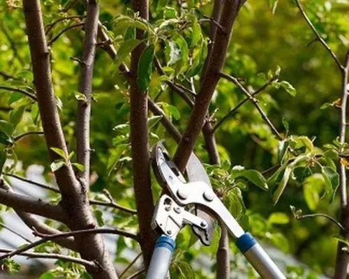 Trusted garden landscaping in Manlius, NY - Extreme Cuts Property Maintenance