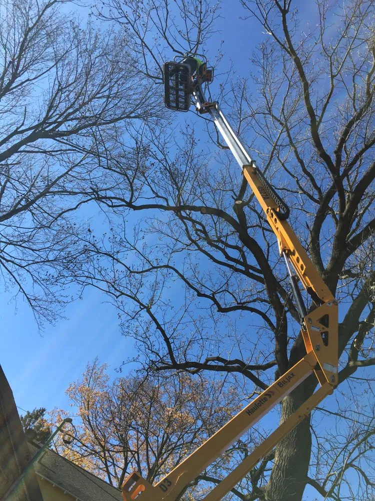 Affordable outdoor landscaping in Manlius, NY - Extreme Cuts Property Maintenance