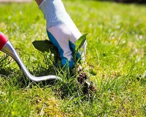 Top-rated garden landscaping in Manlius, NY by Extreme Cuts Property Maintenance