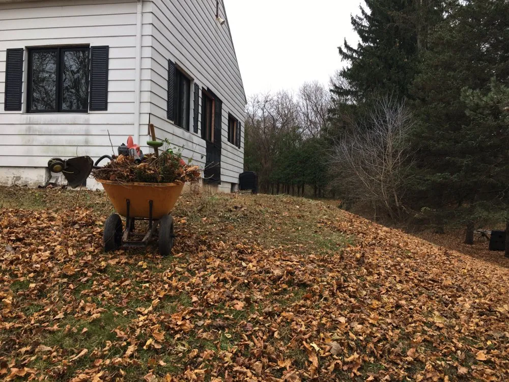 Reliable residential landscaping for beautiful yards across Manlius, NY - Extreme Cuts Property Maintenance
