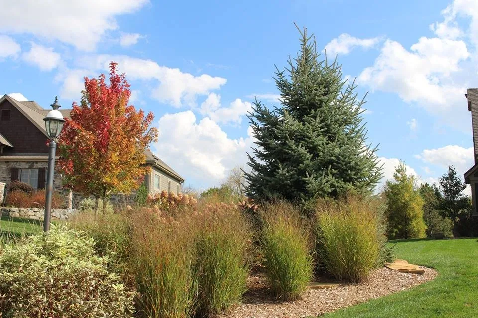 Professional landscaping services in Big Bend, WI by Extreme Exteriors
