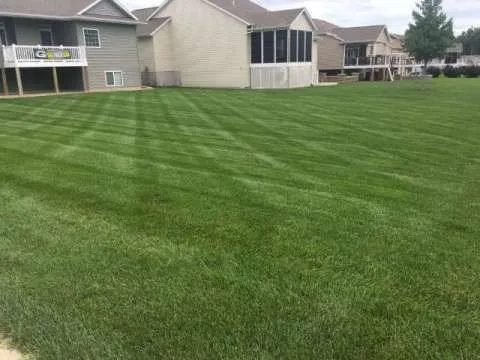 Expert yard maintenance for outdoor upgrades across Alburnett, IA - Extreme Green