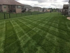 Custom landscaping services in Alburnett, IA by Extreme Green