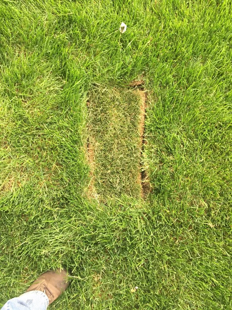 Expert outdoor landscaping in Oak Forest, IL - Extreme Green Landscaping