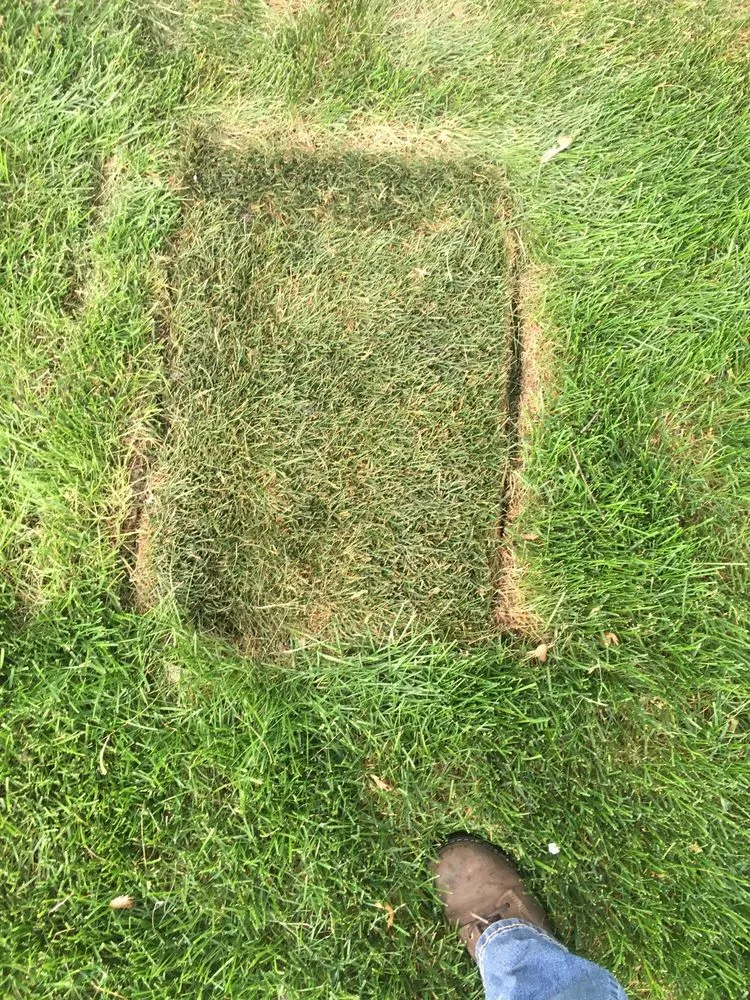 Local garden landscaping for homes across Oak Forest, IL - Extreme Green Landscaping