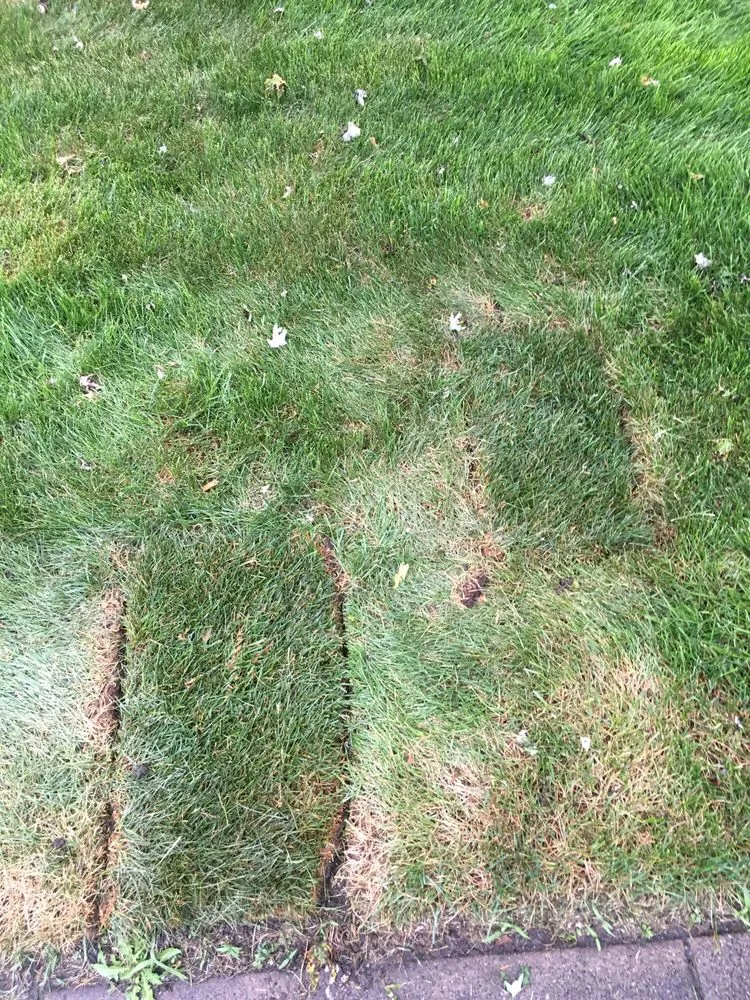 Affordable garden landscaping with custom design across Oak Forest, IL - Extreme Green Landscaping