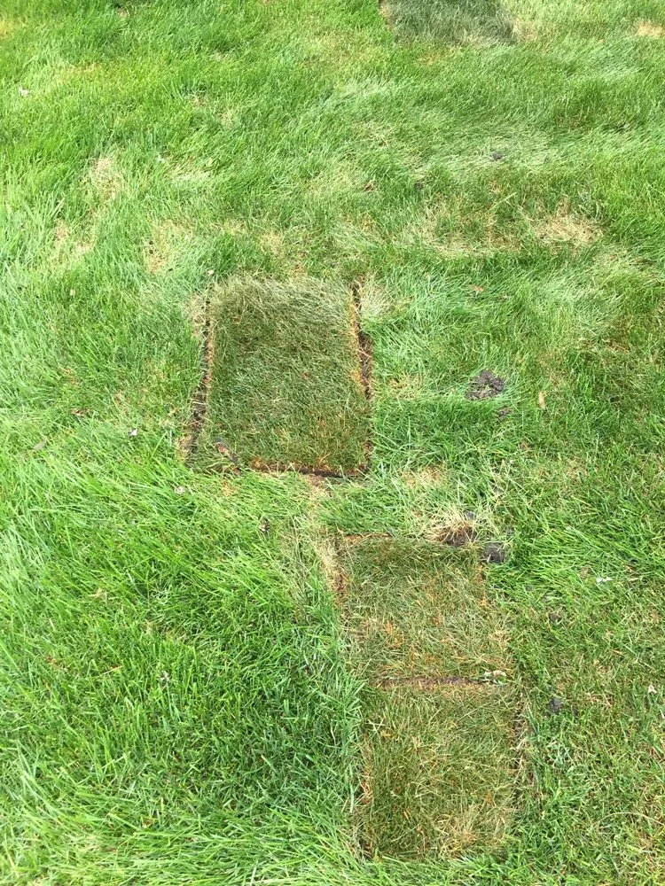 Top-rated outdoor landscaping in Oak Forest, IL by Extreme Green Landscaping