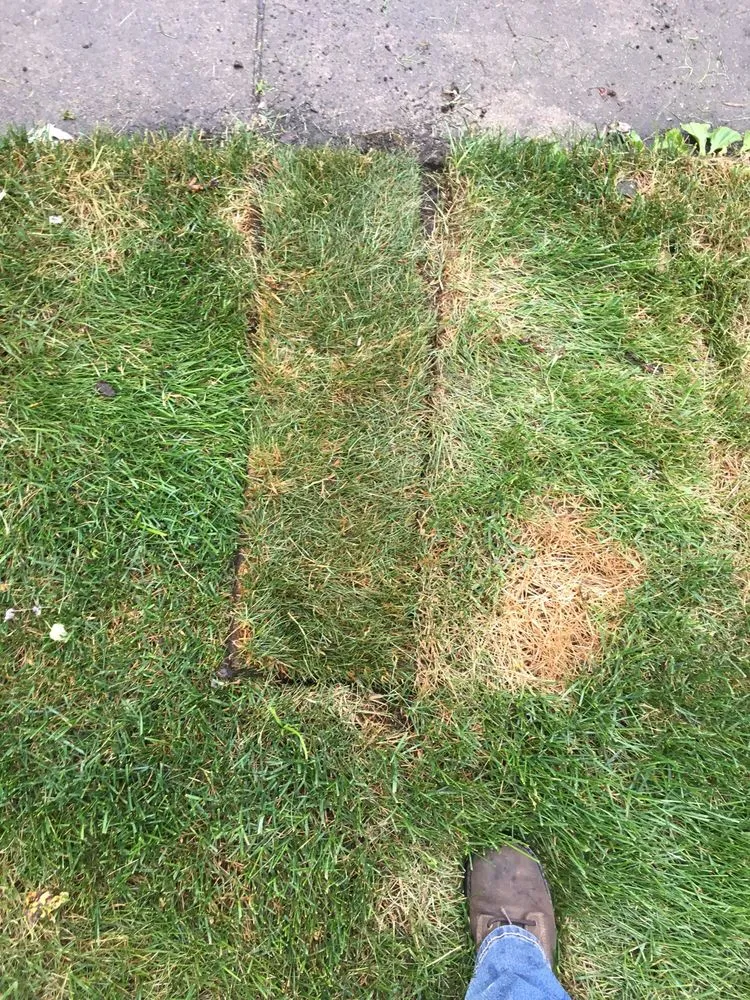 Local lawn care service in Oak Forest, IL by Extreme Green Landscaping