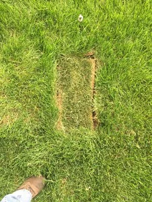 Extreme Green Landscaping